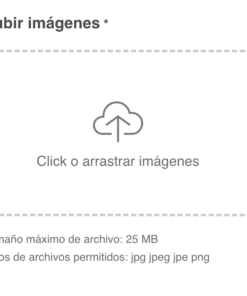 Álbumes con programa de diseño externo